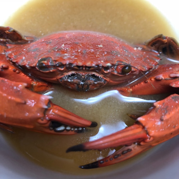 安くて美味い イシガニの味噌汁 レシピ 作り方 By ハオーチア 楽天レシピ 安くて美味い イシガニの味噌汁 レシピ 作り方 By ハオーチア 楽天レシピ